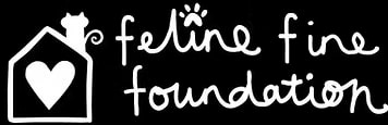 Feline Fine Portal
